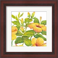 Framed Watercolor Hibiscus II