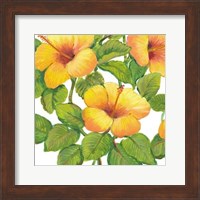 Framed Watercolor Hibiscus III