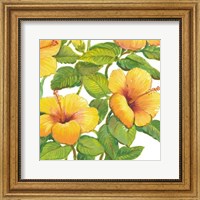 Framed Watercolor Hibiscus IV
