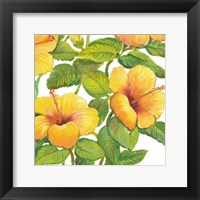 Watercolor Hibiscus IV Framed Print