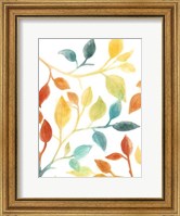 Framed Spectrum Leaves II