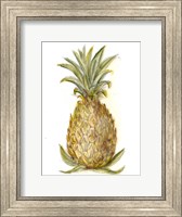 Framed Pineapple Sketch I