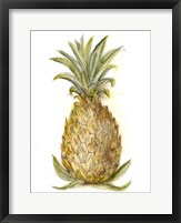 Framed Pineapple Sketch I