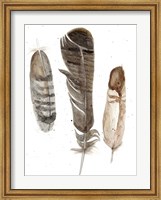 Framed Earthtone Feathers I