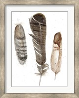 Framed Earthtone Feathers I