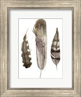 Framed Earthtone Feathers II