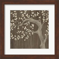 Framed Driftwood Cherry II