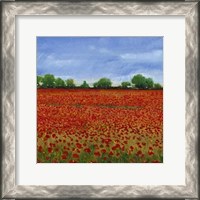 Framed Field of Poppies I