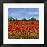 Framed Field of Poppies I