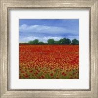Framed Field of Poppies II