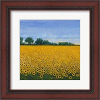 Framed Field of Sunflowers I