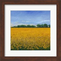 Framed Field of Sunflowers II