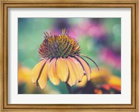 Framed Mellow Yellows I