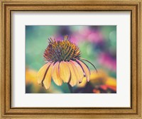 Framed Mellow Yellows I