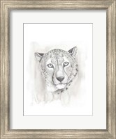 Framed Big Cat Study I