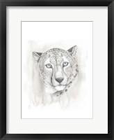 Framed Big Cat Study I