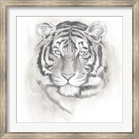 Framed Big Cat Study II