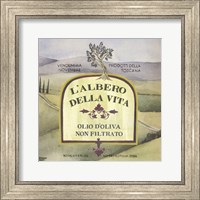 Framed Olive Oil Labels IV