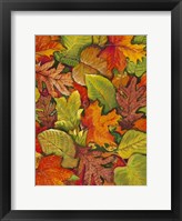 Fallen Leaves I Framed Print