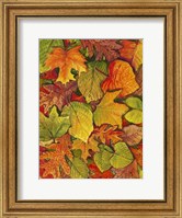 Framed Fallen Leaves II
