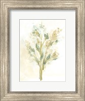 Framed Sagebrush Bouquet I