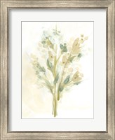 Framed Sagebrush Bouquet I