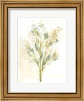 Framed Sagebrush Bouquet I