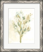 Framed Sagebrush Bouquet I