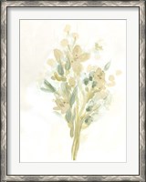 Framed Sagebrush Bouquet II