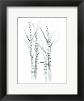 Framed Aquarelle Birches I