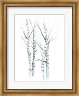 Framed Aquarelle Birches I