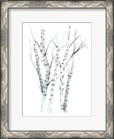 Framed Aquarelle Birches II