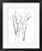 Aquarelle Birches II Framed Print