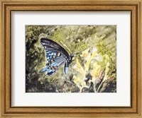 Framed Butterfly in Nature I