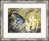 Framed Butterfly in Nature I