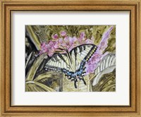 Framed Butterfly in Nature II