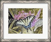 Framed Butterfly in Nature II