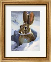 Framed Snow Bunny