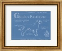 Framed Blueprint Golden Retriever