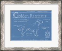 Framed Blueprint Golden Retriever