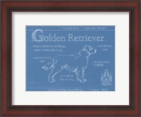 Framed Blueprint Golden Retriever