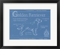 Blueprint Golden Retriever Framed Print