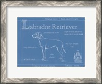 Framed Blueprint Labrador Retriever