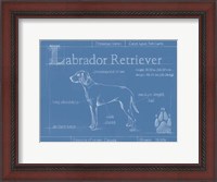 Framed Blueprint Labrador Retriever