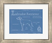 Framed Blueprint Labrador Retriever