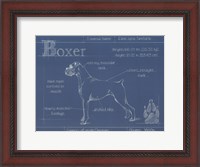 Framed Blueprint Boxer