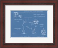 Framed Blueprint Pug