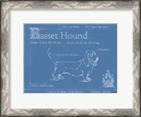 Framed Blueprint Basset Hound