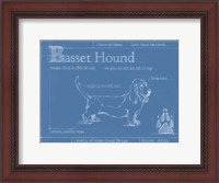 Framed Blueprint Basset Hound