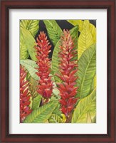 Framed Red Tropical Flowers II